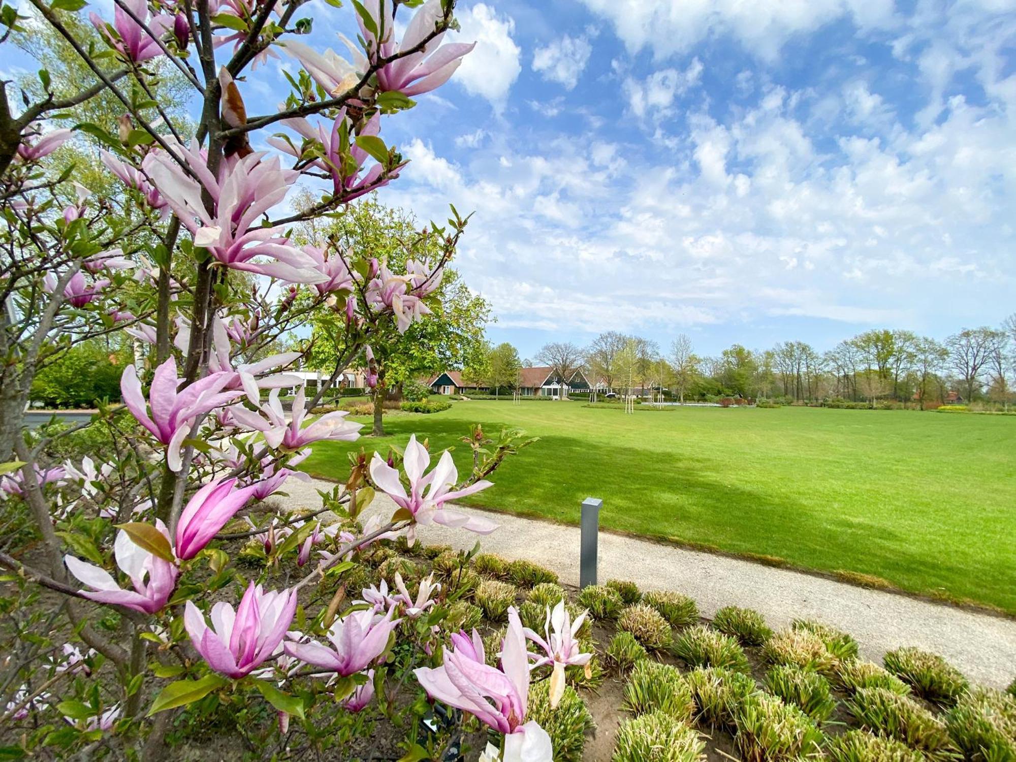 Parkhotel De Wiemsel 4* Ootmarsum